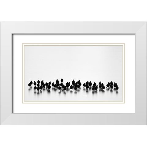 Eurasian Coots White Modern Wood Framed Art Print with Double Matting by Vasilev, Yordan