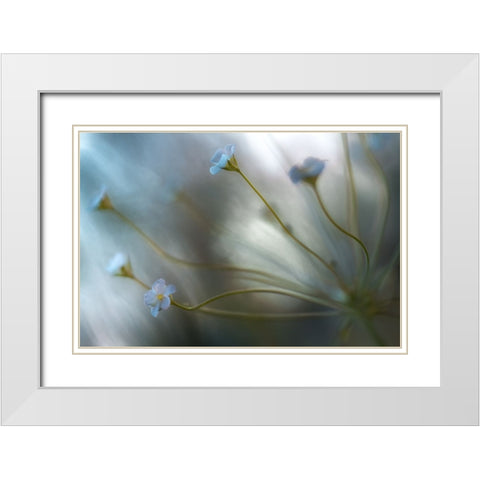 Jasmine White Modern Wood Framed Art Print with Double Matting by Disher, Mandy
