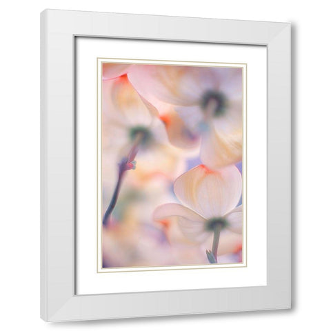 Under The Skirts Of Flowers White Modern Wood Framed Art Print with Double Matting by Casanova, Francois