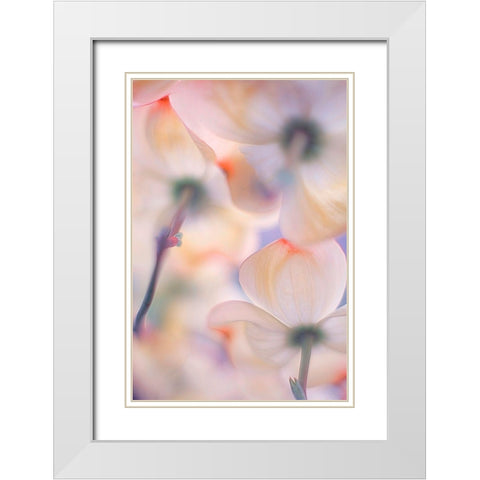 Under The Skirts Of Flowers White Modern Wood Framed Art Print with Double Matting by Casanova, Francois
