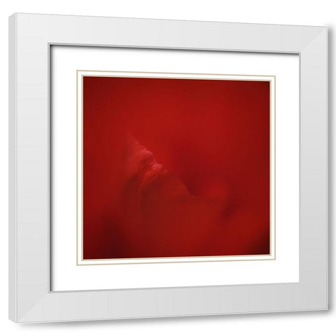 All Red White Modern Wood Framed Art Print with Double Matting by Gronkjar, Lotte