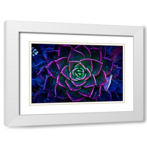 Wild Flowers White Modern Wood Framed Art Print with Double Matting by Pandya, Hardik