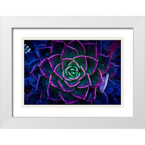 Wild Flowers White Modern Wood Framed Art Print with Double Matting by Pandya, Hardik