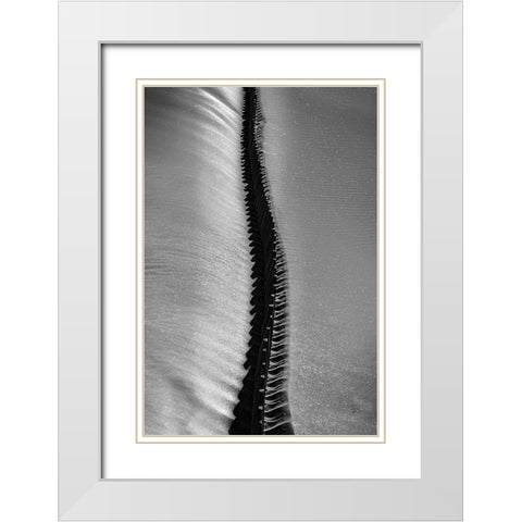 Scorpio Rising White Modern Wood Framed Art Print with Double Matting by Abrantes, Paulo