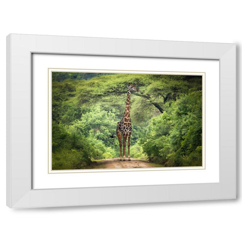 Unexpected Meeting White Modern Wood Framed Art Print with Double Matting by Trubitsyn, Kirill