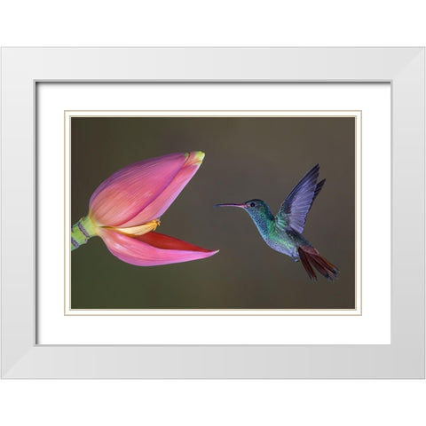 Target Practice White Modern Wood Framed Art Print with Double Matting by Barsh, Greg