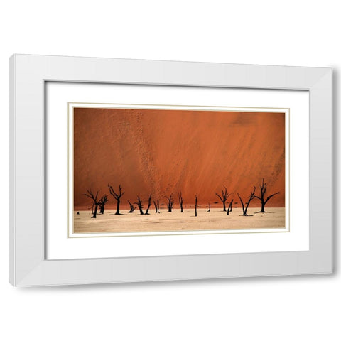 Deadvlei White Modern Wood Framed Art Print with Double Matting by Hawerkamp, Hans-Wolfgang