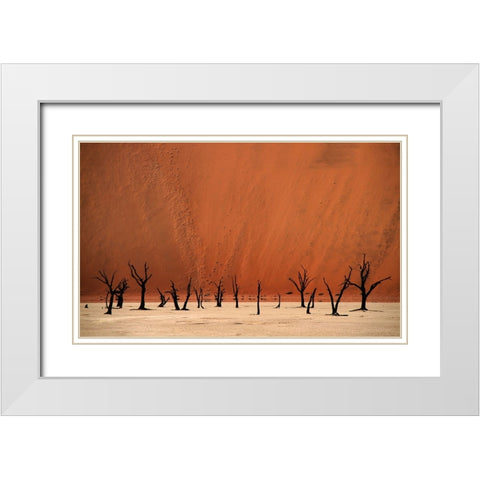 Deadvlei White Modern Wood Framed Art Print with Double Matting by Hawerkamp, Hans-Wolfgang