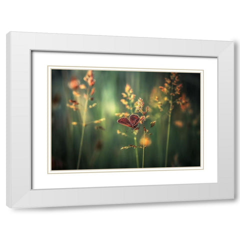 Last Light White Modern Wood Framed Art Print with Double Matting by Vinogradof, Florentin