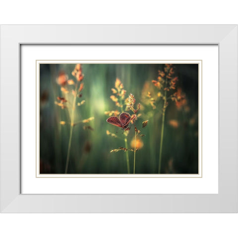 Last Light White Modern Wood Framed Art Print with Double Matting by Vinogradof, Florentin