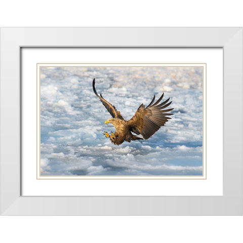 Coming White Modern Wood Framed Art Print with Double Matting by Mei, C.