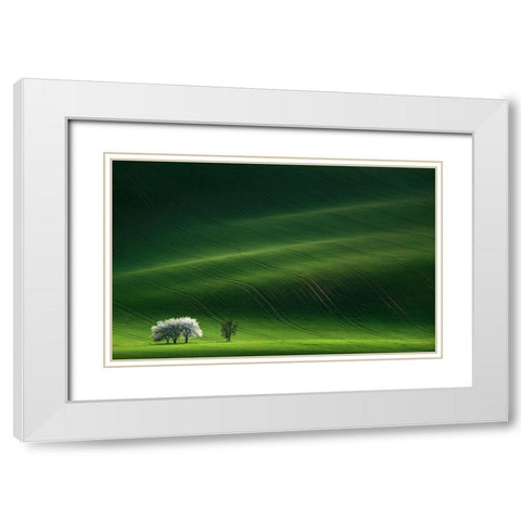 Ladies In White White Modern Wood Framed Art Print with Double Matting by Sokolovsky, Vlad