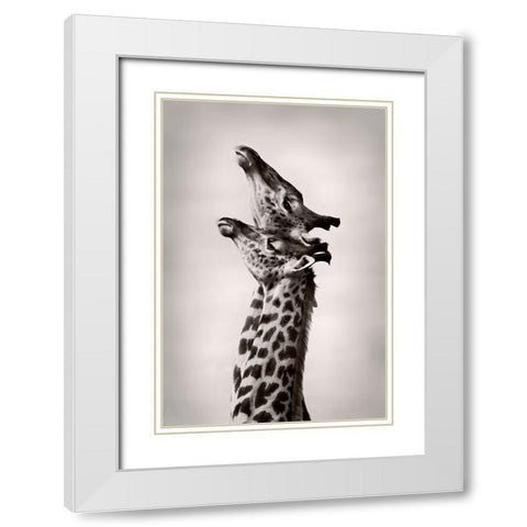 True Love White Modern Wood Framed Art Print with Double Matting by WildPhotoArt