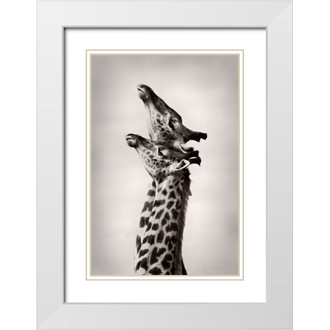 True Love White Modern Wood Framed Art Print with Double Matting by WildPhotoArt