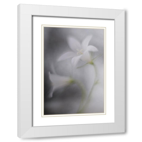 Bells White Modern Wood Framed Art Print with Double Matting by Reindl, Doris