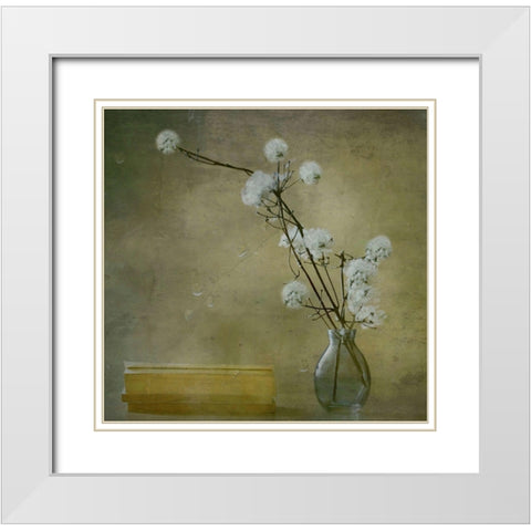 Books White Modern Wood Framed Art Print with Double Matting by Devos, Delphine