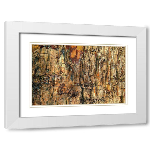 Bark White Modern Wood Framed Art Print with Double Matting by Kravanja, Jure