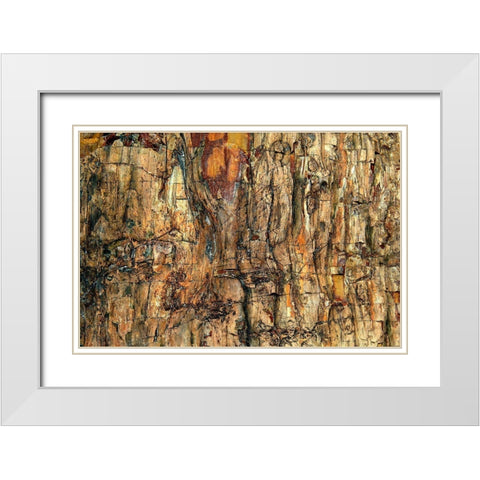 Bark White Modern Wood Framed Art Print with Double Matting by Kravanja, Jure