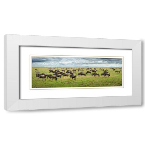 Great Migration In Serengeti Plains White Modern Wood Framed Art Print with Double Matting by Trubitsyn, Kirill