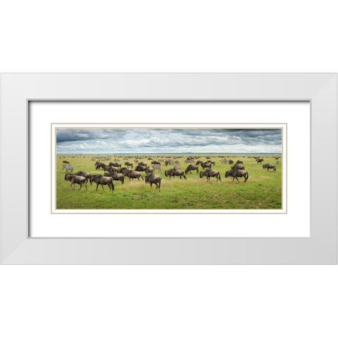 Great Migration In Serengeti Plains White Modern Wood Framed Art Print with Double Matting by Trubitsyn, Kirill