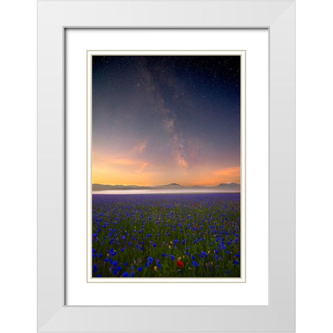Night Flowers White Modern Wood Framed Art Print with Double Matting by Marchegiani, Roberto