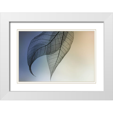 Cavatina White Modern Wood Framed Art Print with Double Matting by Kowatari, Shihya