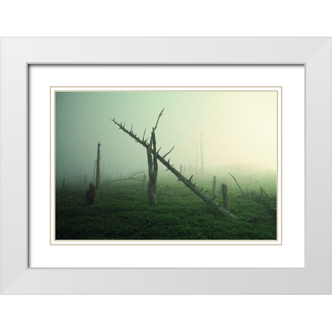 Beautiful Rot White Modern Wood Framed Art Print with Double Matting by Sugimoto, Koji