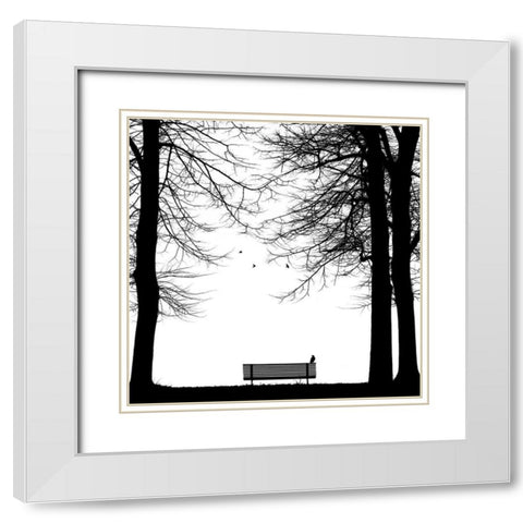 Il Corvo White Modern Wood Framed Art Print with Double Matting by Della Latta, Massimo