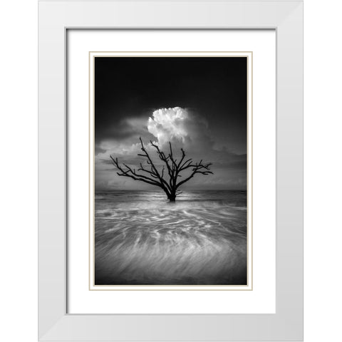 Oceanus White Modern Wood Framed Art Print with Double Matting by Moore, Chris