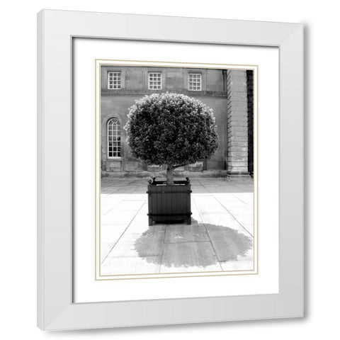 Architectural Detail, Blenheim Palace White Modern Wood Framed Art Print with Double Matting by Blue, Cyril