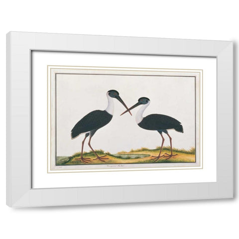 Bangou Eatan, Crane White Modern Wood Framed Art Print with Double Matting by Anonymous