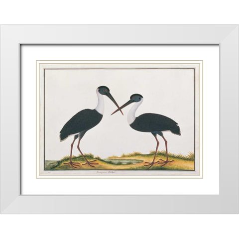 Bangou Eatan, Crane White Modern Wood Framed Art Print with Double Matting by Anonymous