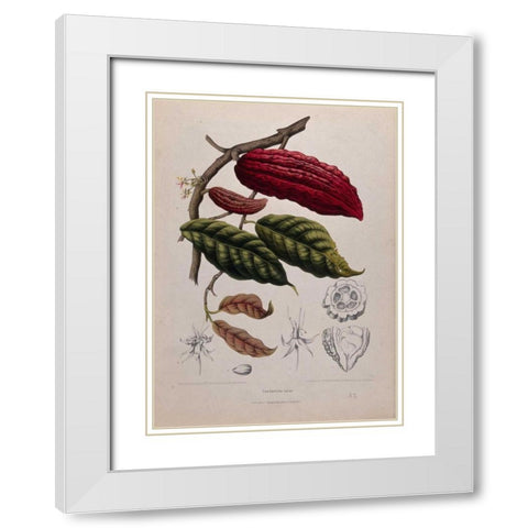 Cacao White Modern Wood Framed Art Print with Double Matting by Van Nooten, Madame