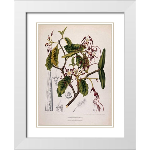 Twisted Cord Flower White Modern Wood Framed Art Print with Double Matting by Van Nooten, Madame