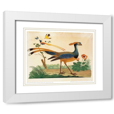 Flytrap, Little bird and Butterfly White Modern Wood Framed Art Print with Double Matting by Raineri, Carlo, Vittorio