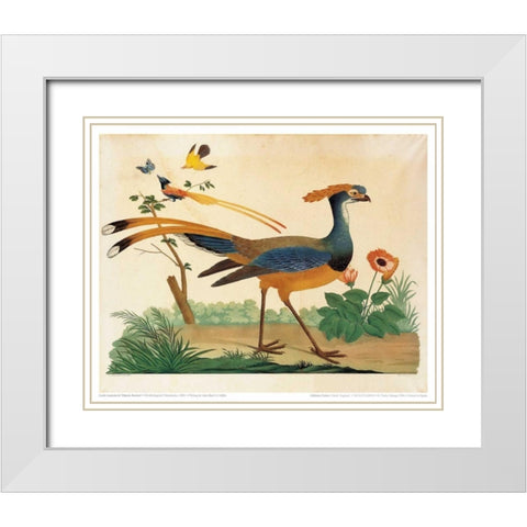 Flytrap, Little bird and Butterfly White Modern Wood Framed Art Print with Double Matting by Raineri, Carlo, Vittorio