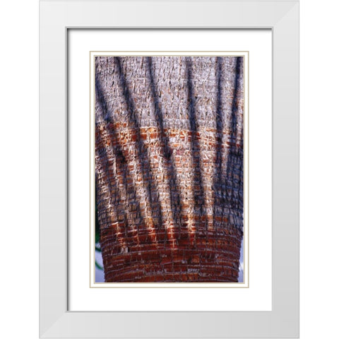 Date Palm Crown White Modern Wood Framed Art Print with Double Matting by Blue, Cyril