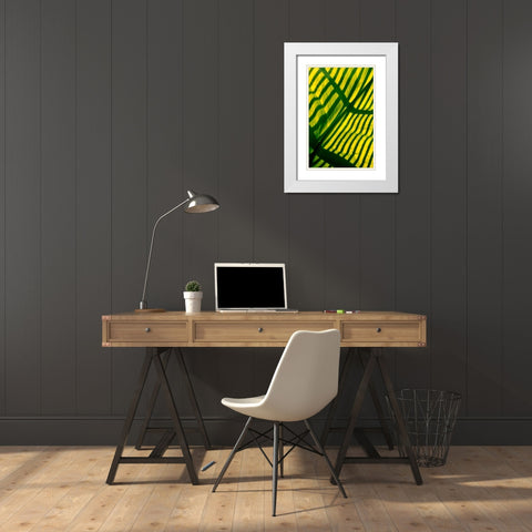 Palm Frond White Modern Wood Framed Art Print with Double Matting by Blue, Cyril