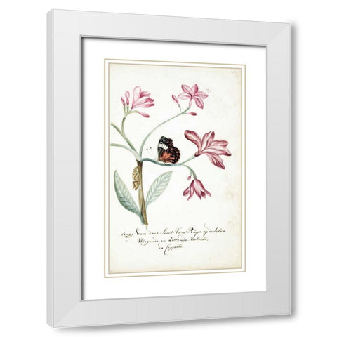 Jasmine Tree Branch, Caterpillar White Modern Wood Framed Art Print with Double Matting by Markee, Cornelis