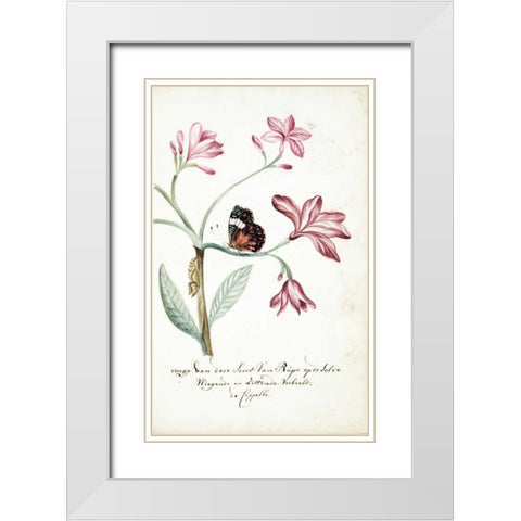 Jasmine Tree Branch, Caterpillar White Modern Wood Framed Art Print with Double Matting by Markee, Cornelis