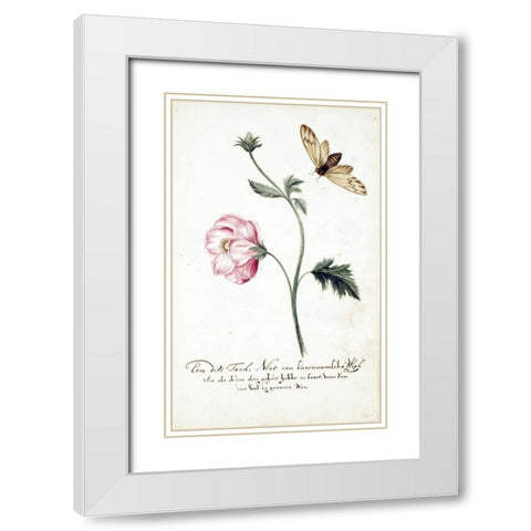 Anemone, Surinam Fly White Modern Wood Framed Art Print with Double Matting by Markee, Cornelis