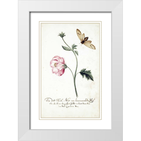 Anemone, Surinam Fly White Modern Wood Framed Art Print with Double Matting by Markee, Cornelis