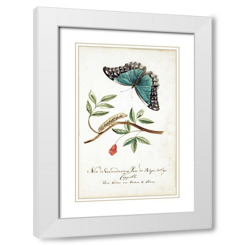 Plant With Leaves, Caterpillar, Butterfly White Modern Wood Framed Art Print with Double Matting by Markee, Cornelis