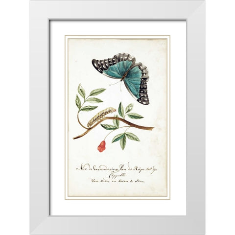 Plant With Leaves, Caterpillar, Butterfly White Modern Wood Framed Art Print with Double Matting by Markee, Cornelis