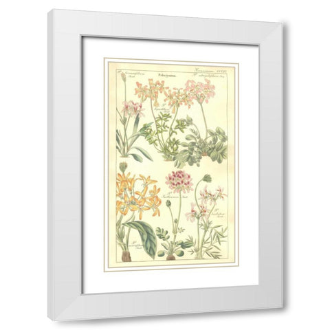 Geraniums White Modern Wood Framed Art Print with Double Matting by Dietrich, David