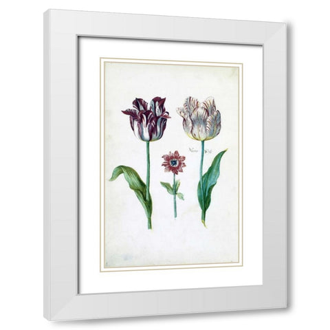 Tulips White Modern Wood Framed Art Print with Double Matting by De Bray, Dirck