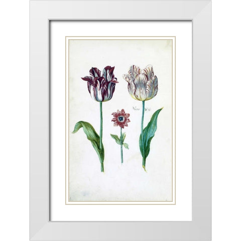 Tulips White Modern Wood Framed Art Print with Double Matting by De Bray, Dirck