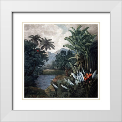 Jungle View White Modern Wood Framed Art Print with Double Matting by Thornton, Dr R