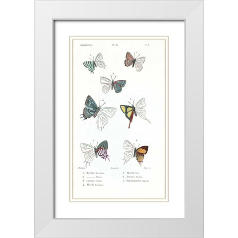 Buterflies, Plate 22 White Modern Wood Framed Art Print with Double Matting by Blanchard, Emile