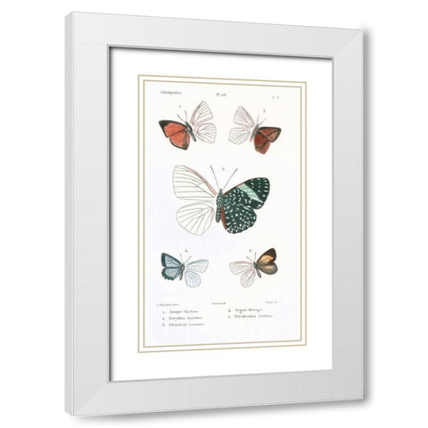 Butterflies, Plate 23 White Modern Wood Framed Art Print with Double Matting by Blanchard, Emile